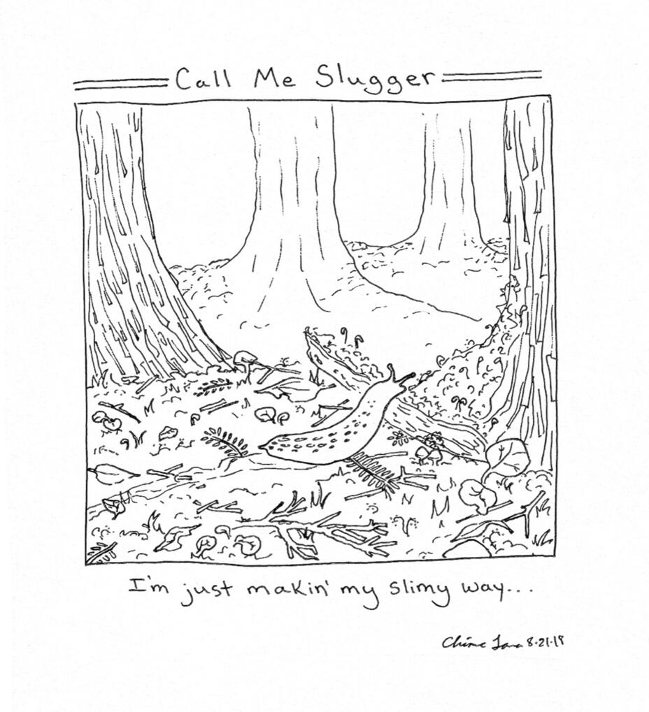 Slugger