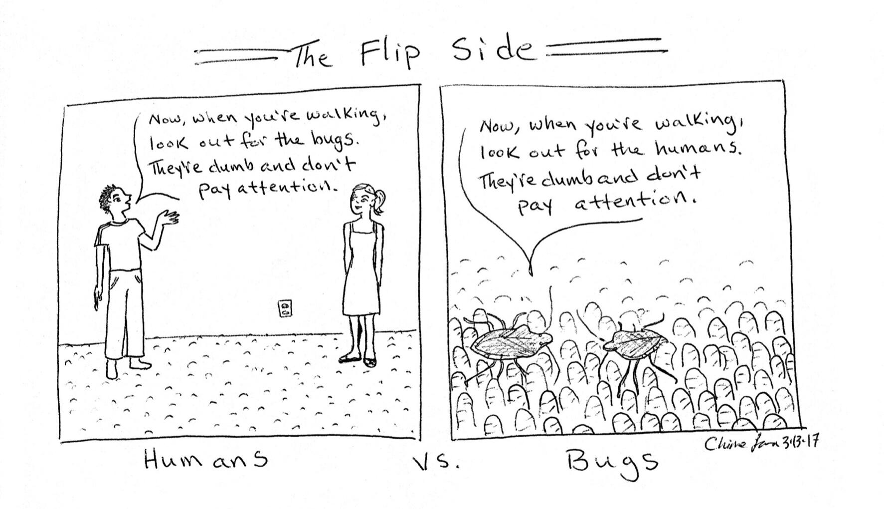 Flip Side
