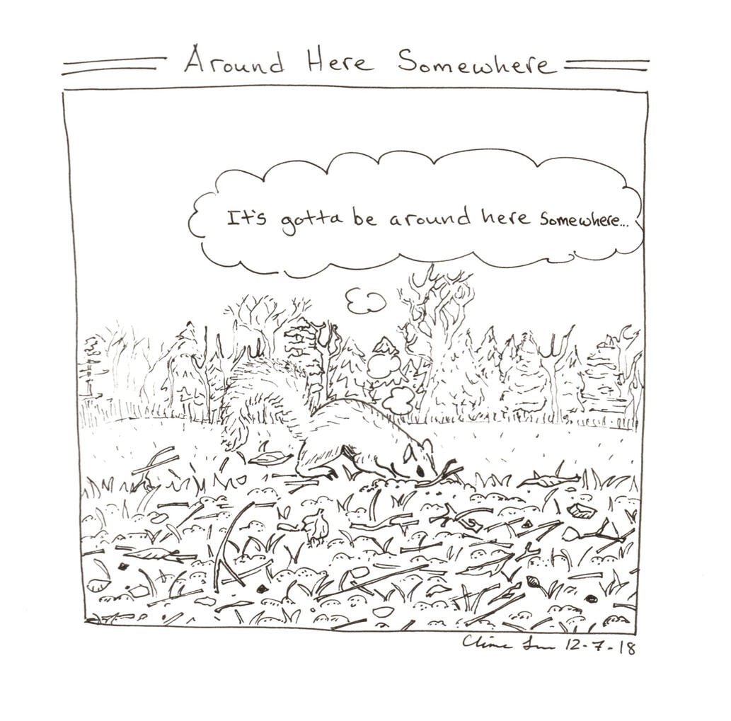 Around Here Somewhere