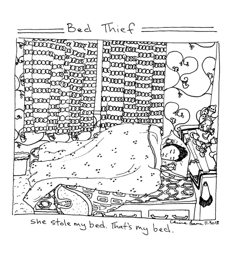 Bed Thief